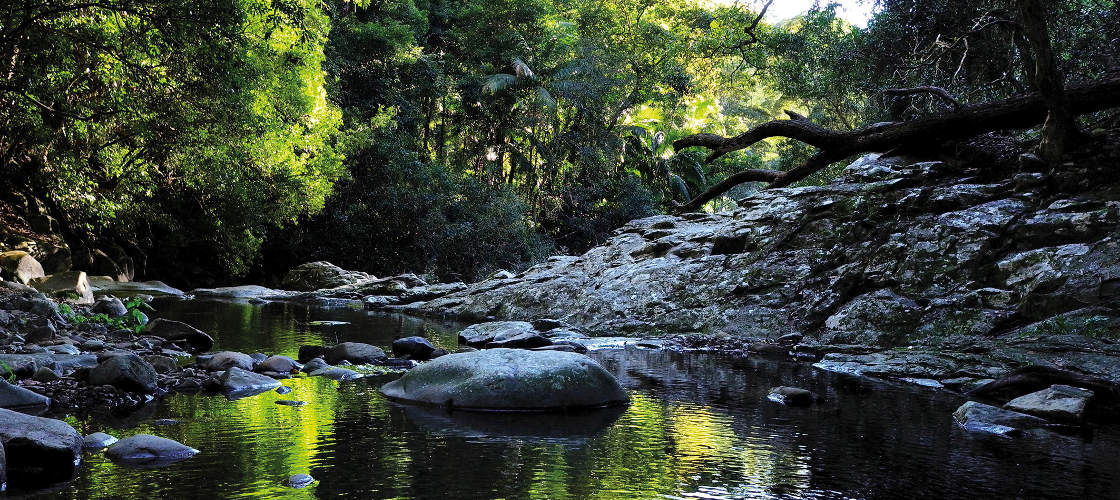 Currumbin Rock Pools Free things to do with kids on the Gold Coast