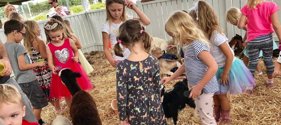 Carrara Markets Free things to do with kids on the Gold Coast
