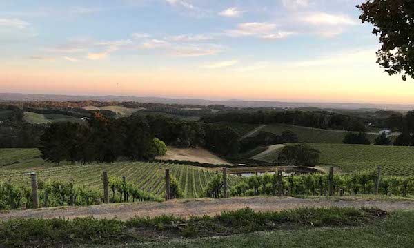 Pike And Joyce Wines Book Them Out