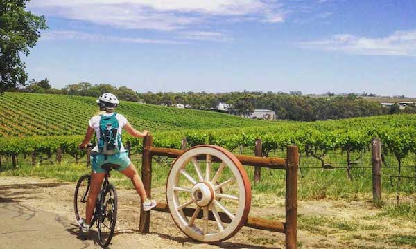 Tour De Vines Book Them Out