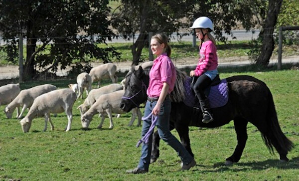 Hahndorf Farm Barn Book Them Out