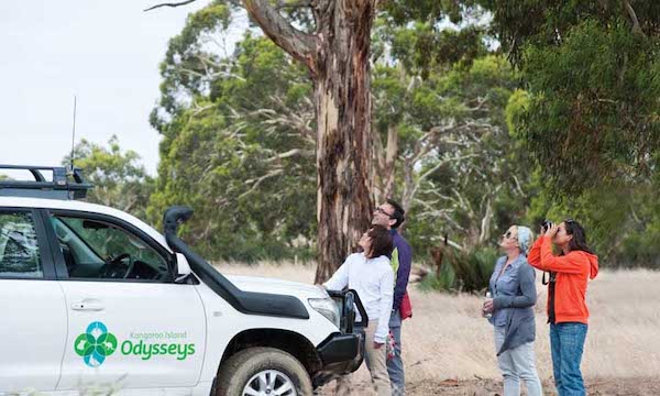 Kangaroo Island Adventure Tours Book Them Out