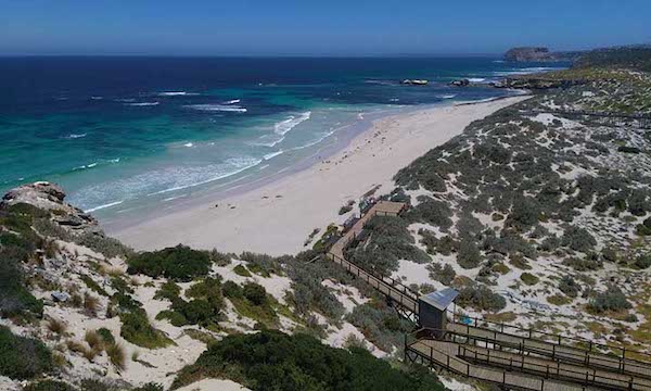 Swagabout Tours 3 Day Kangaroo Island Book Them Out