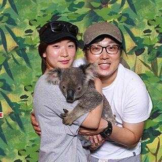 Dreamworld, Gold Coast