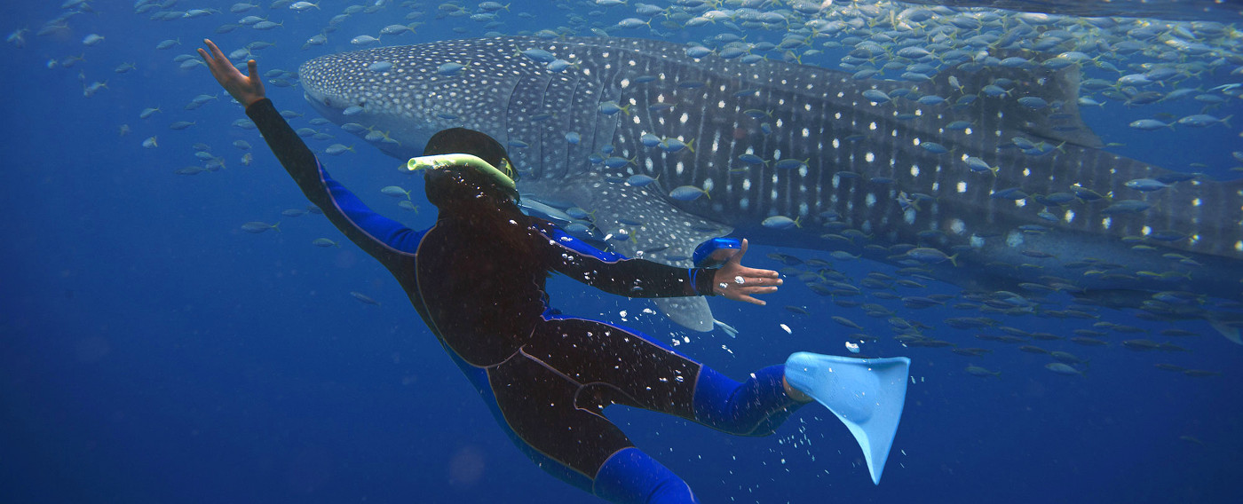 The Best Places In Australia To Visit In June: Exmouth/Ningaloo