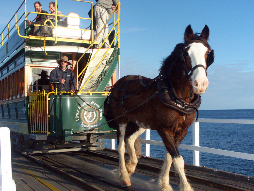 Behind The Experience: Aquaduck General Manager
