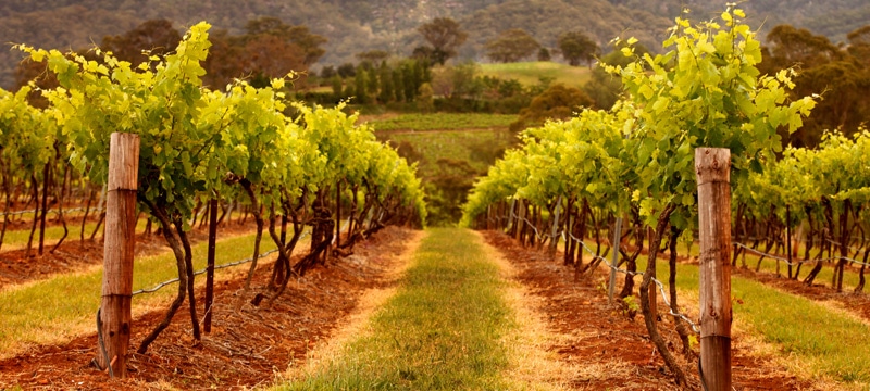 The 10 Most Romantic Places in Australia