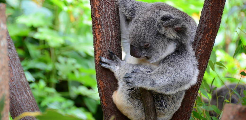Top 10 Things to do on a Rainy Day in Cairns, QLD