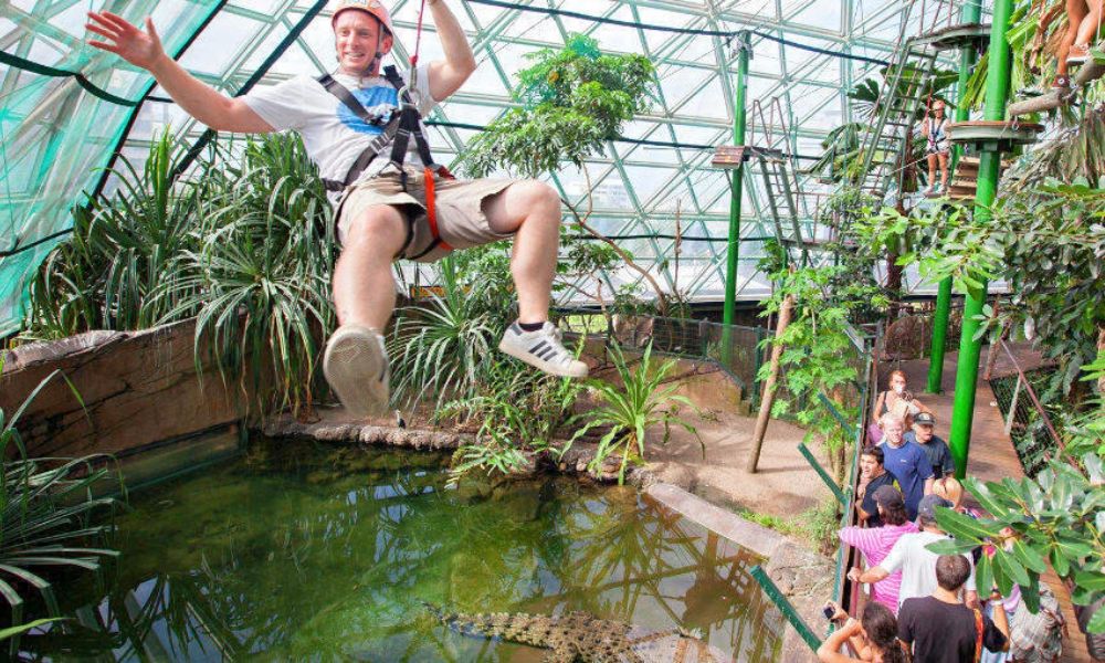 Top 10 Things to do on a Rainy Day in Cairns, QLD