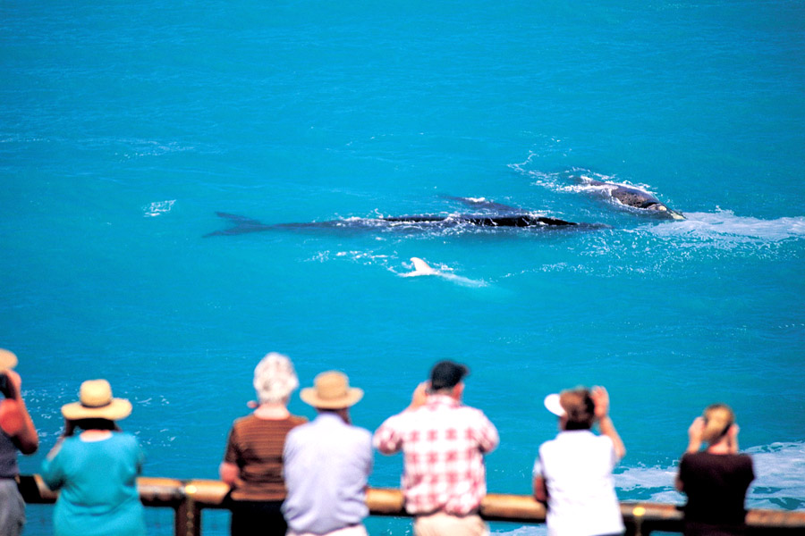 Australia’s 20 Best Views will leave you speechless