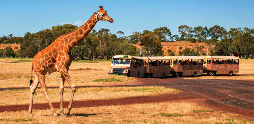 Perfect Mother’s Day Experiences & Gifts Experience Oz Blog