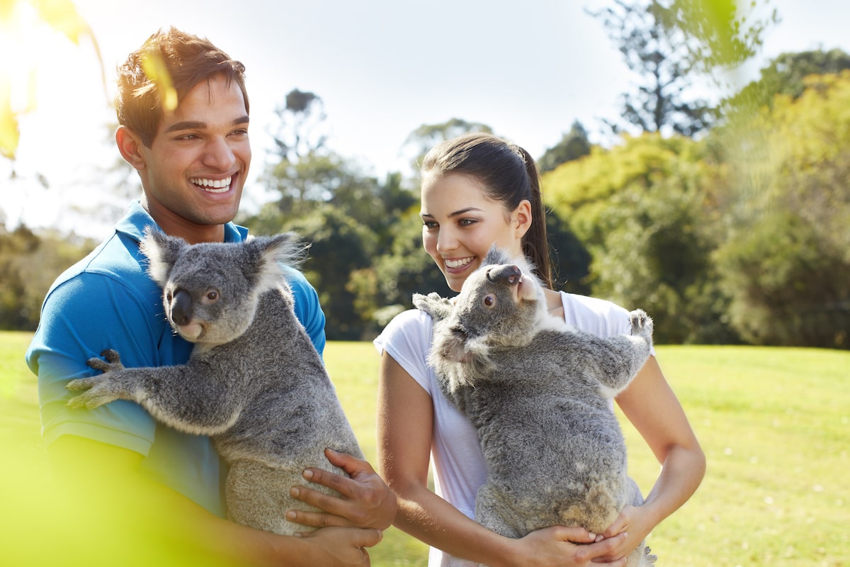 Extraordinary Animal Experiences In Australia Experience Oz Blog