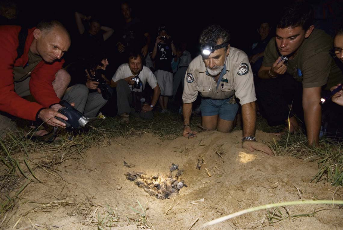 Extraordinary Animal Experiences In Australia Experience Oz Blog