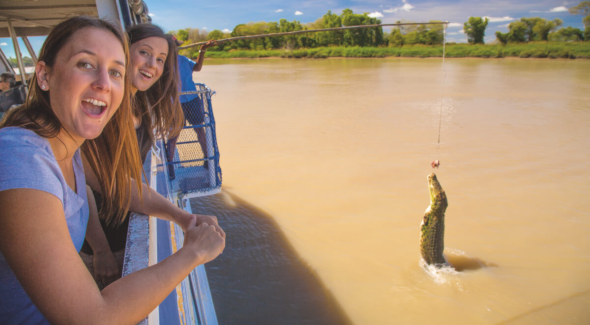 Extraordinary Animal Experiences In Australia Experience Oz Blog