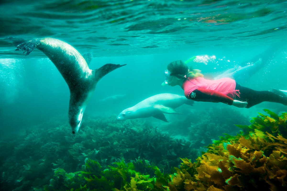 Extraordinary Animal Experiences In Australia Experience Oz Blog