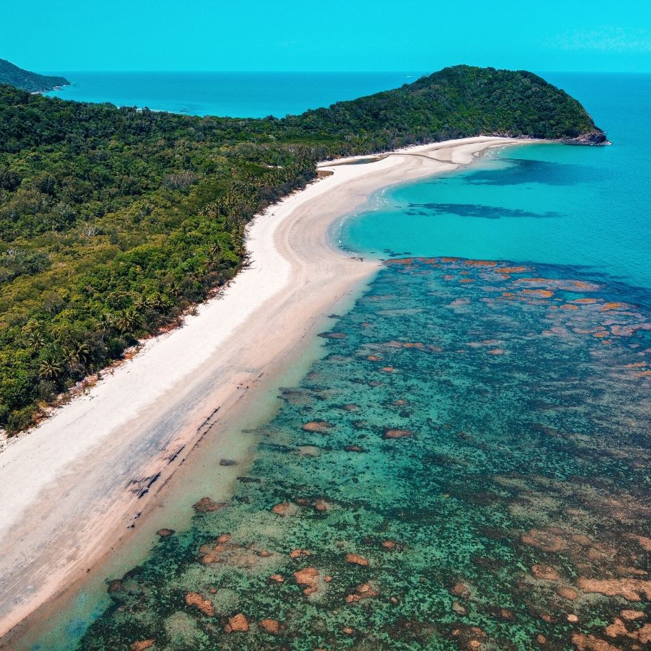 Daintree Rainforest Facts Far North Queensland Experience Oz