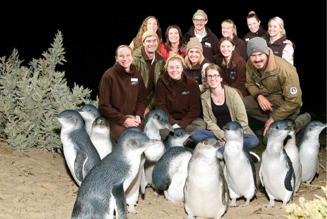 Behind The Experience: Phillip Island Nature Parks | Experience Oz