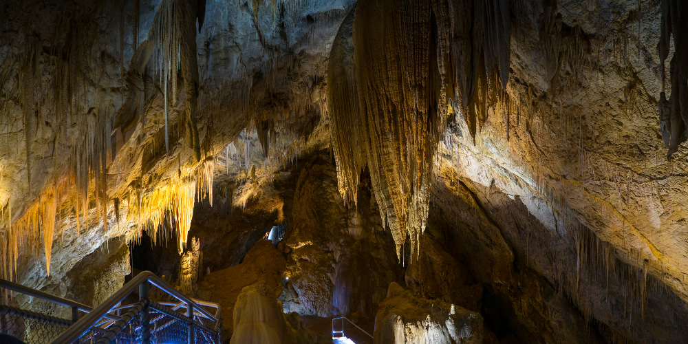 Hastings Caves & Thermal Springs Tasmania Experience Oz