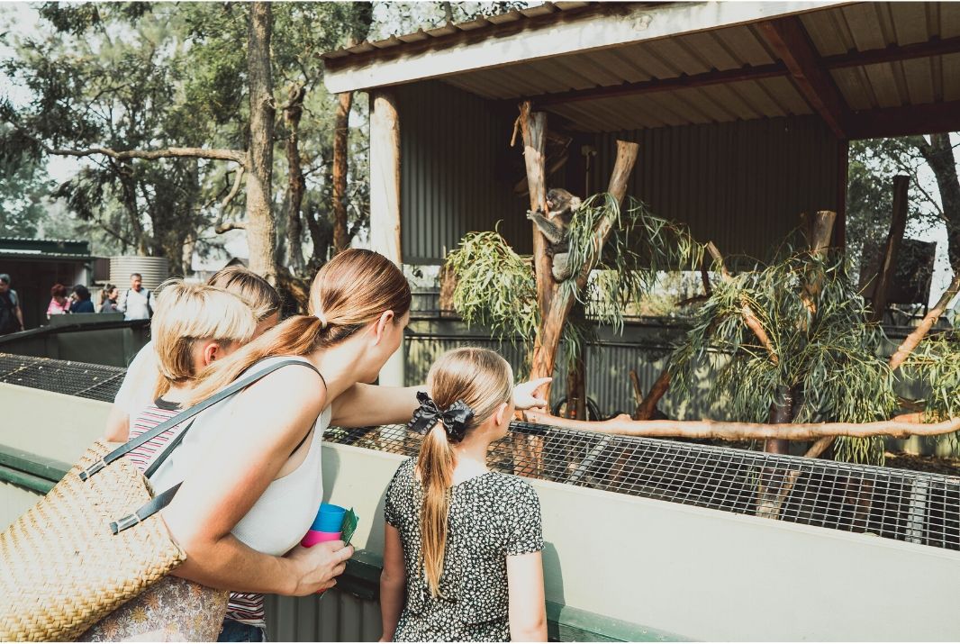 Behind The Experience: Featherdale Wildlife Park Entry Experience Oz