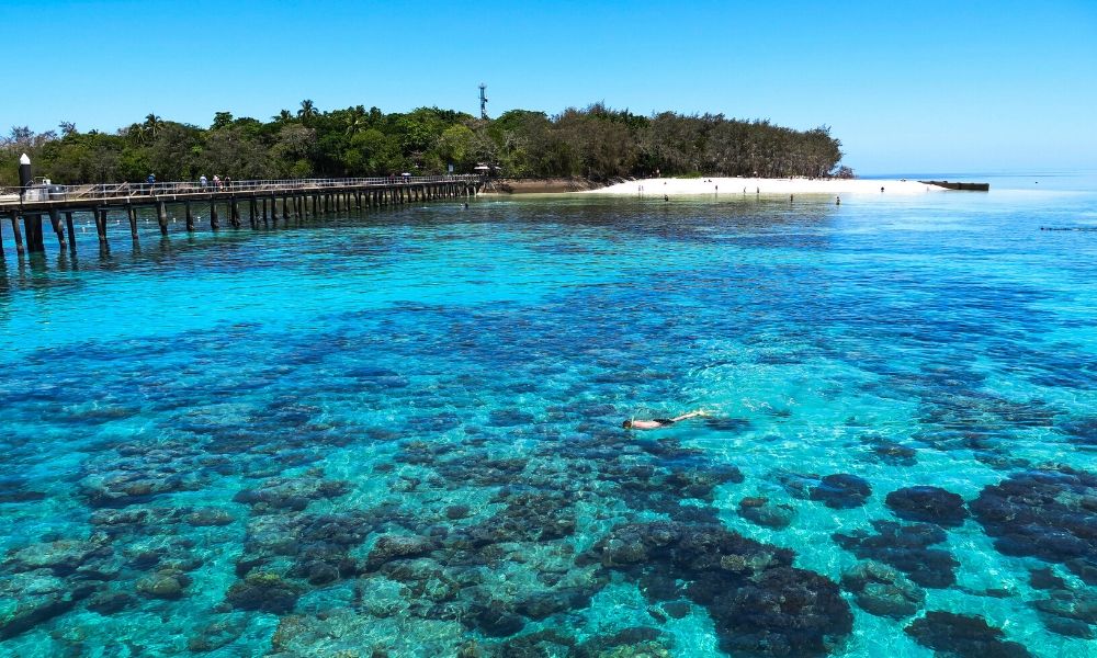 Man snorkelling Green Island Great Barrier Reef Cairns