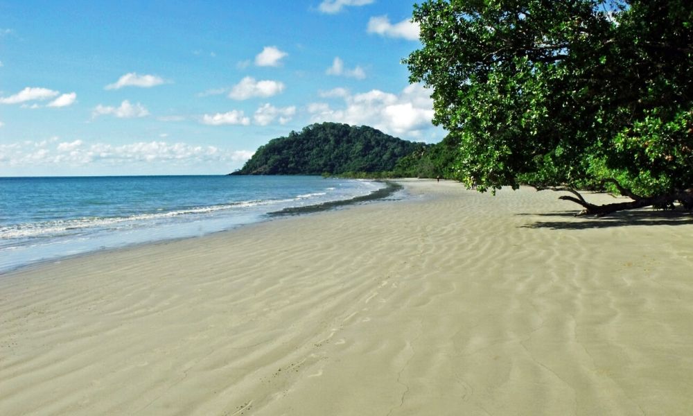 Cape Tribulation Beach