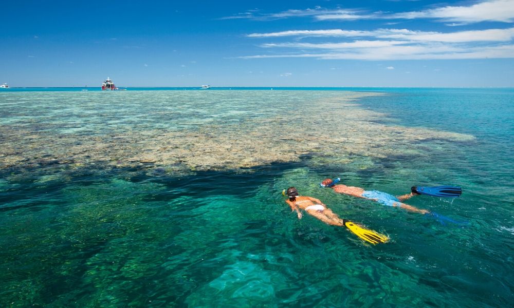 Couple snorkelling Great Barrier Reef Port Douglas