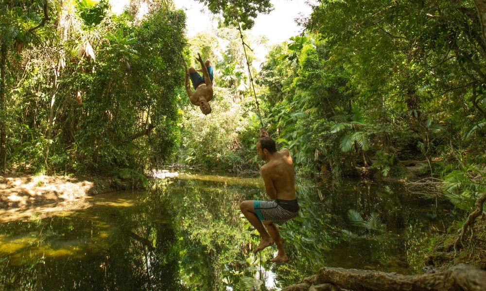 Two guys swinging and jumping into creek Cape Tribulation Daintree