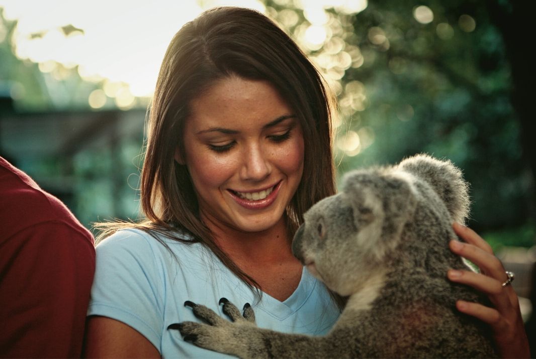 Woman holding baby Koala at Zoo