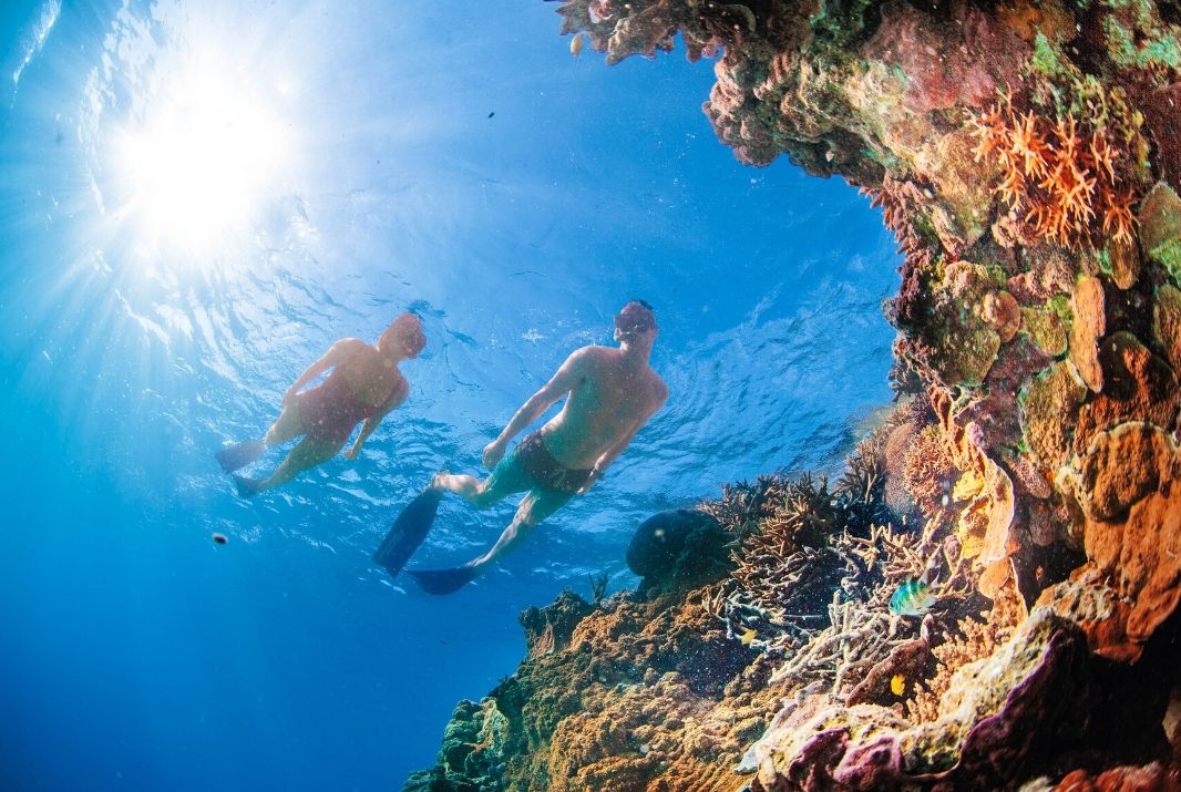 Couple snorkelling through Great Barrier Reef Cairns