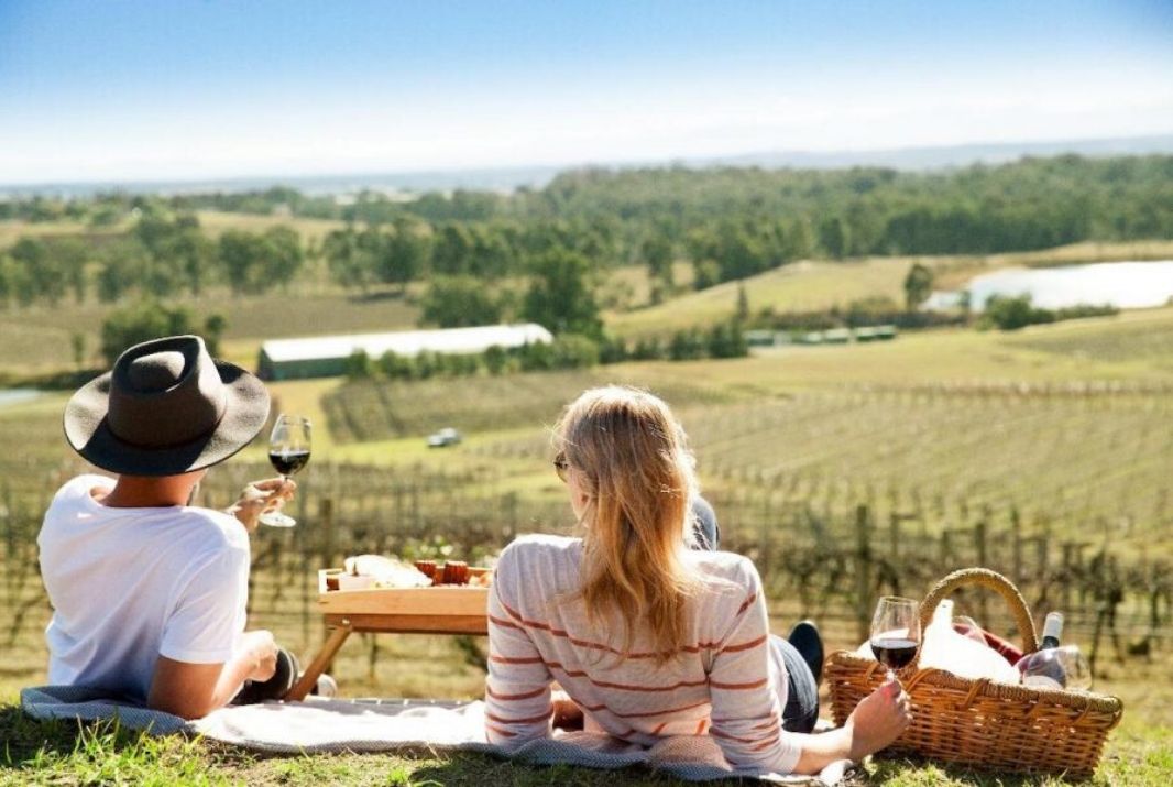 Couple drinking wine at vineyard