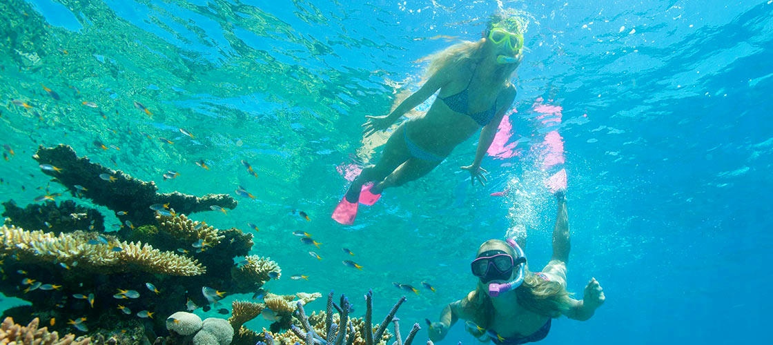 Two woman snorkelling at Great Barrier Reef Cairns