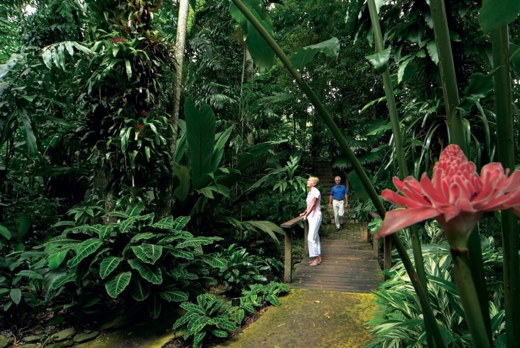Couple enjoying Cairns Botanic Gardens Cairns