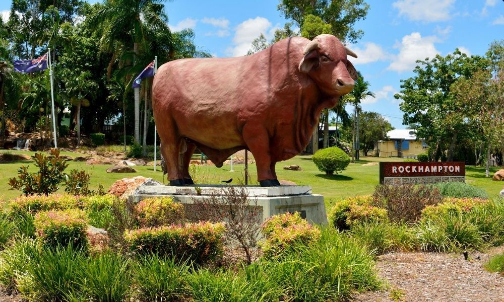 Brisbane To Cairns Road Trip Itinerary Image 06