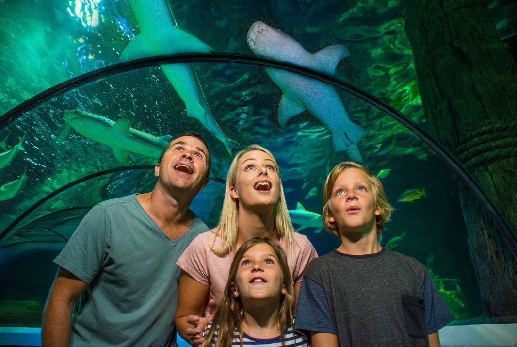 Family SEA LIFE inside aquarium looking up at sharks