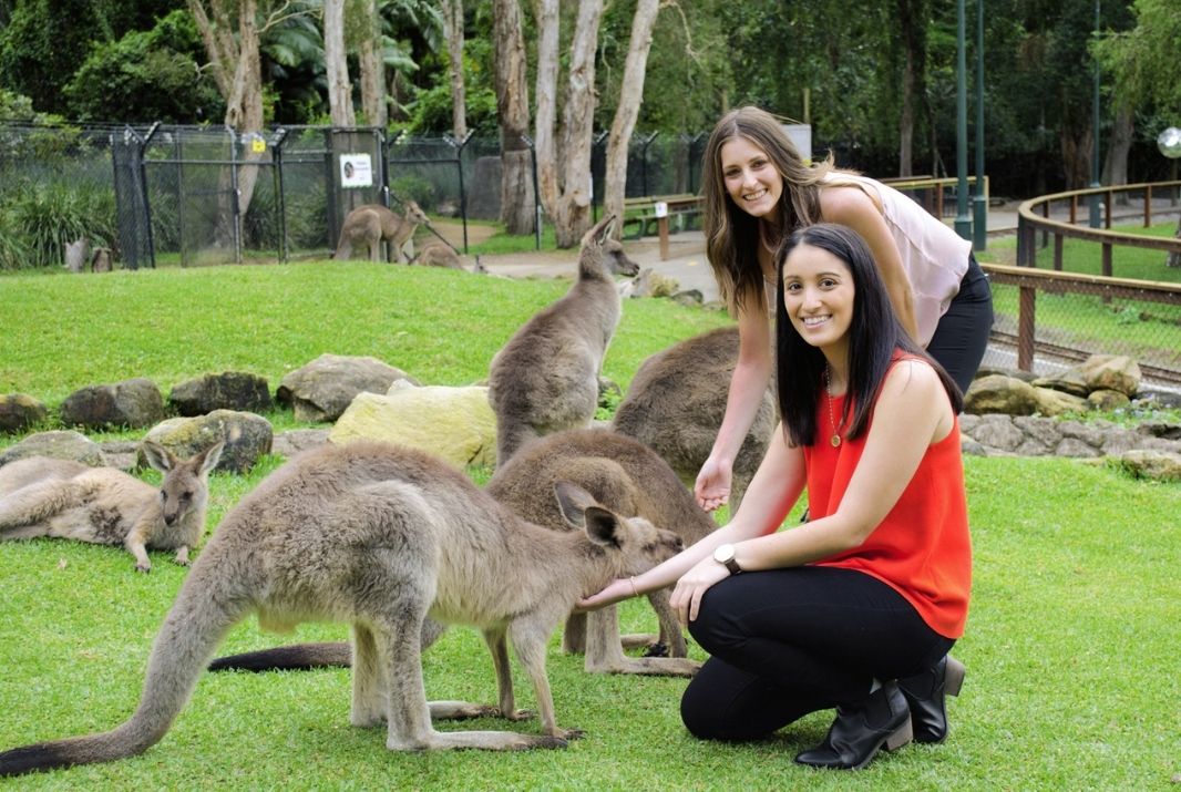 2 woman feeding kangaroos at Currumbin Wildlife Park Gold Coast