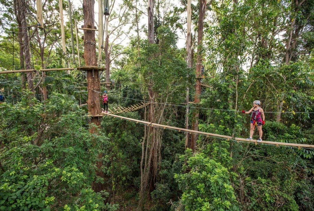 People completing in Treetop Challenge Sunshine Coast