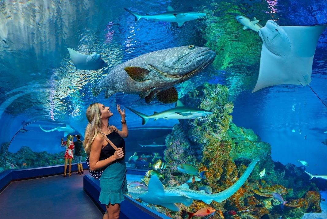 Woman looking up at fish in Cairns Aquarium