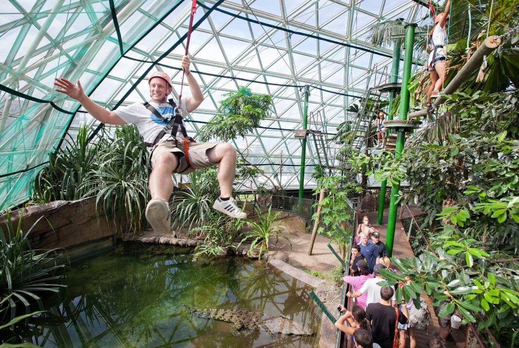 Man zip-lining through Cairns Zoom at Cairns Zoom