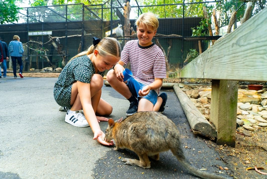 Brother and sister feeding animals at Featherdale Wildlife Park Sydney