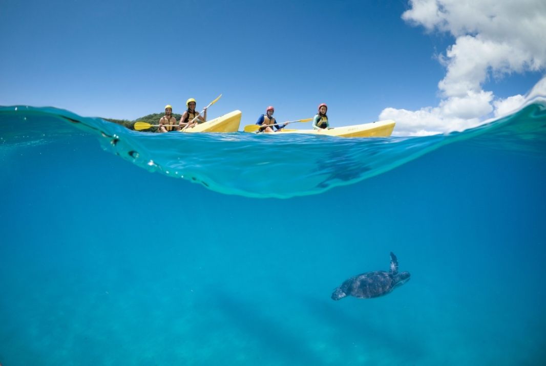 Kayaking with dolphins at Byron Bay