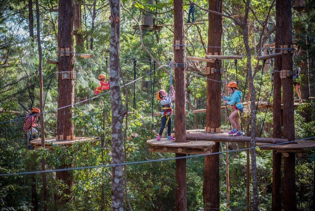 Kids playing at Treetop Adventure Park