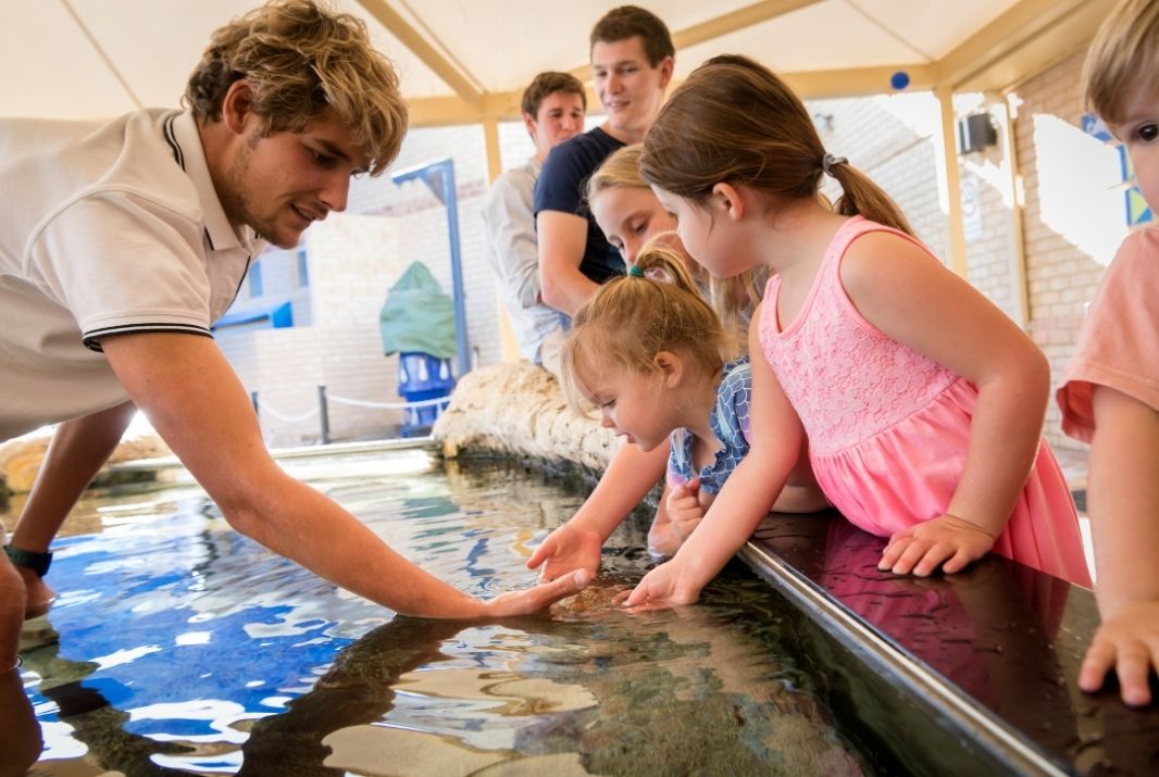 Kids patting staR fish at Aquarium of Western Australia AQWA
