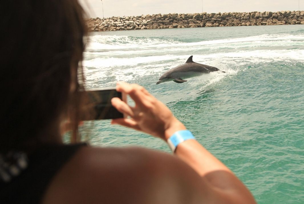Woman filming dolphin on Rockingham Wild Encounters in Perth
