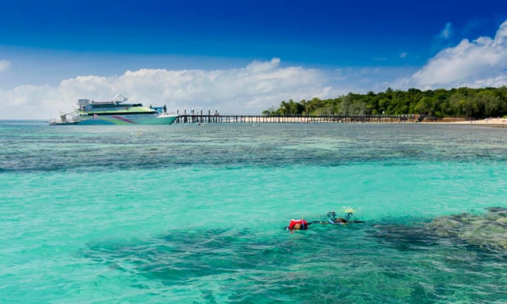 People snorkelling at Green Island Cairns