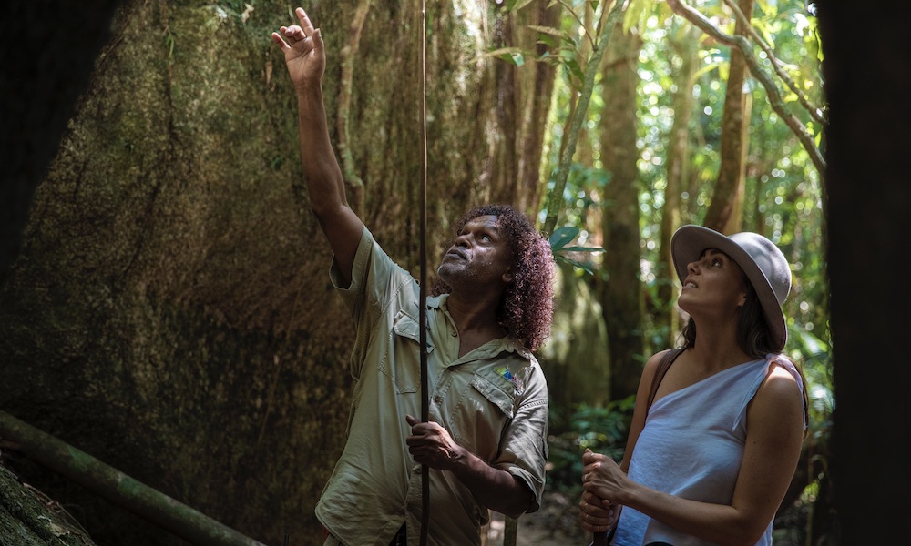 Ancient Rainforest tour with guide