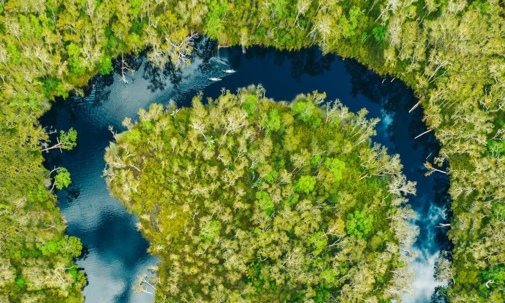 Noosa Everglades from above