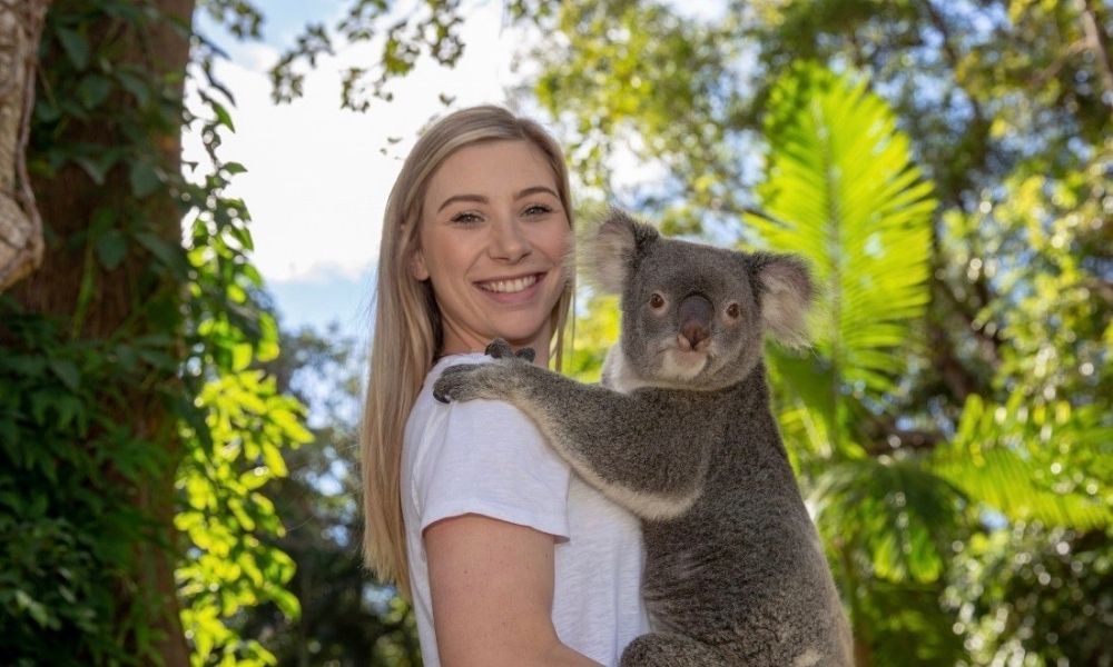 Woman cuddles a koala at Currumbin Wildlife Sanctuary