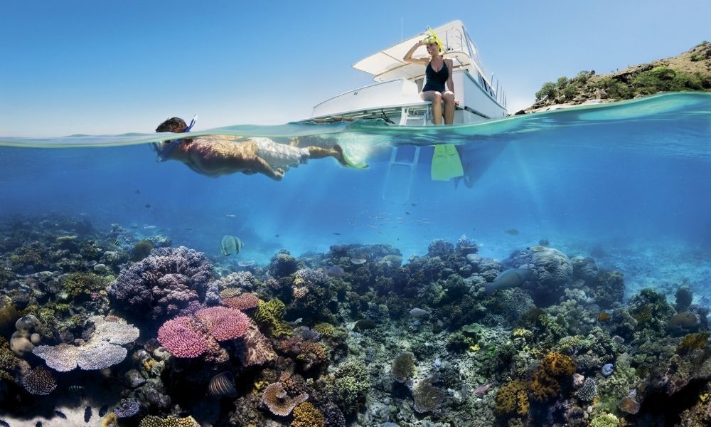 Male snorkels the Great Barrier Reef while woman looks on