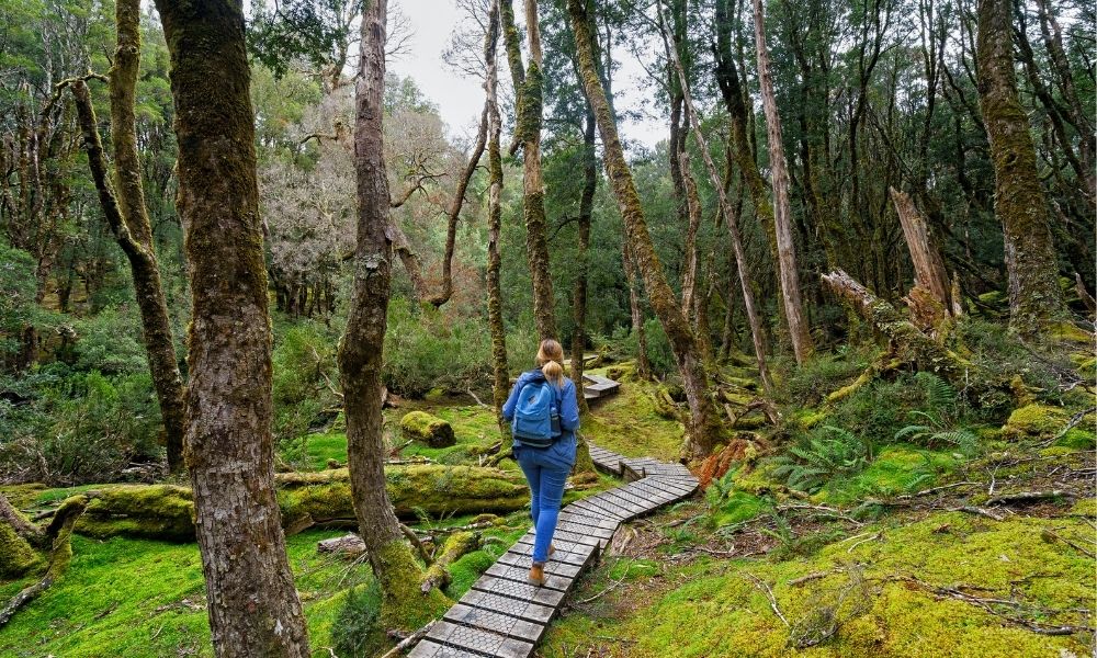 Woman walking into the Cradle Mountain Forest