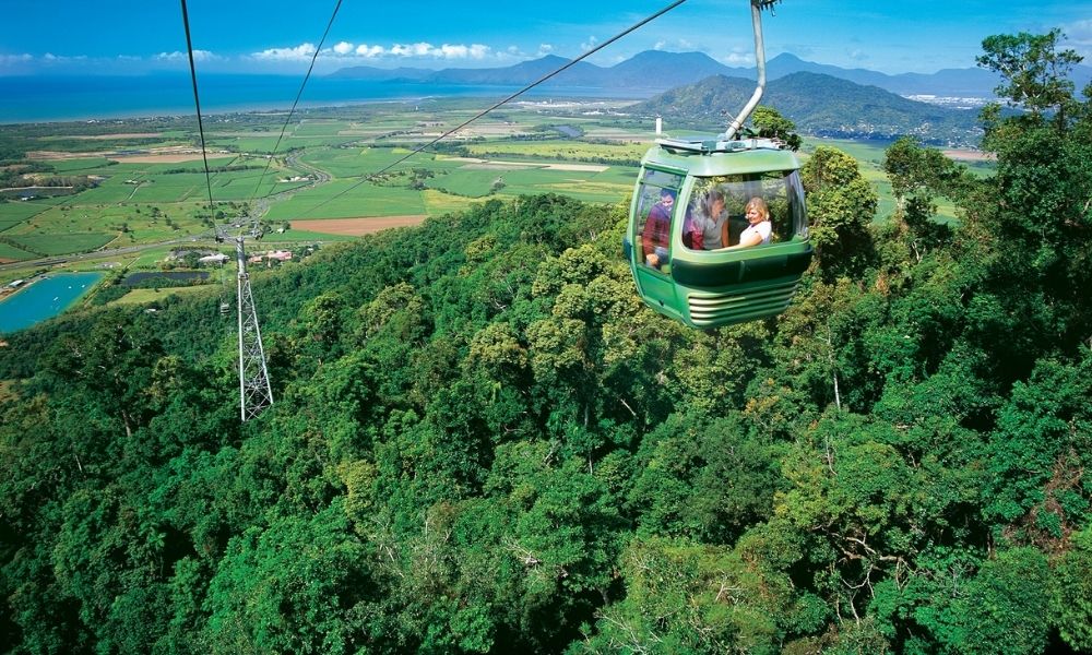 Kuranda Skyrail Rainforest Cableway soaring over lush green forest